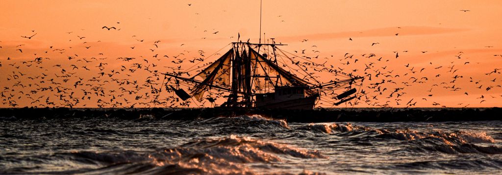 Private 5-Hour Night Fishing